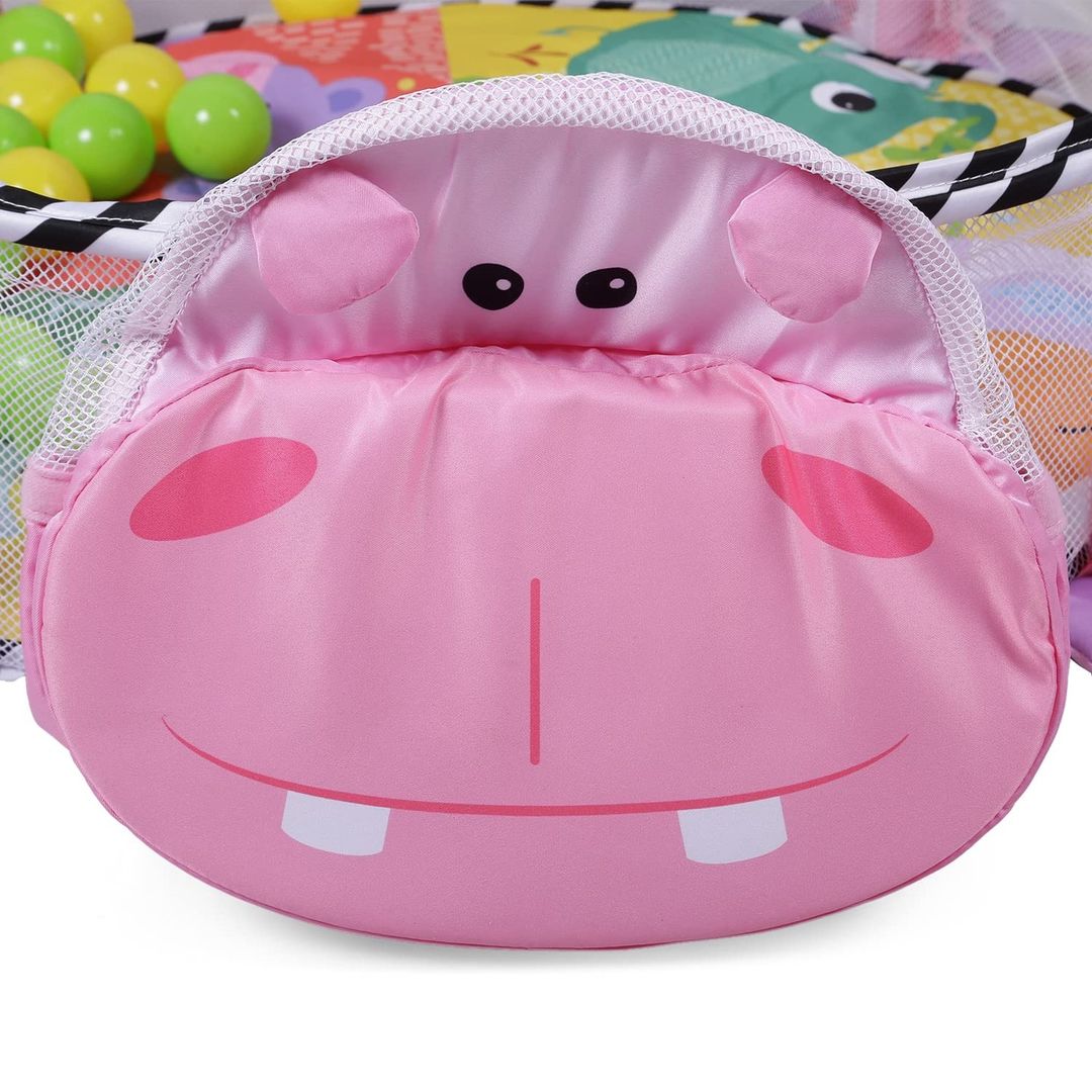 Activity gym and ball pit