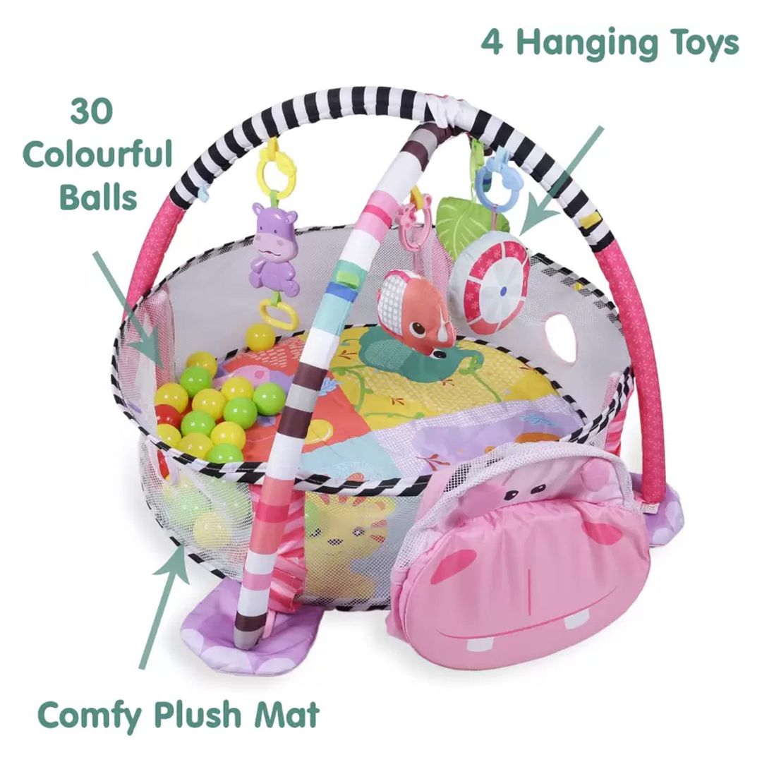 Activity gym and ball pit