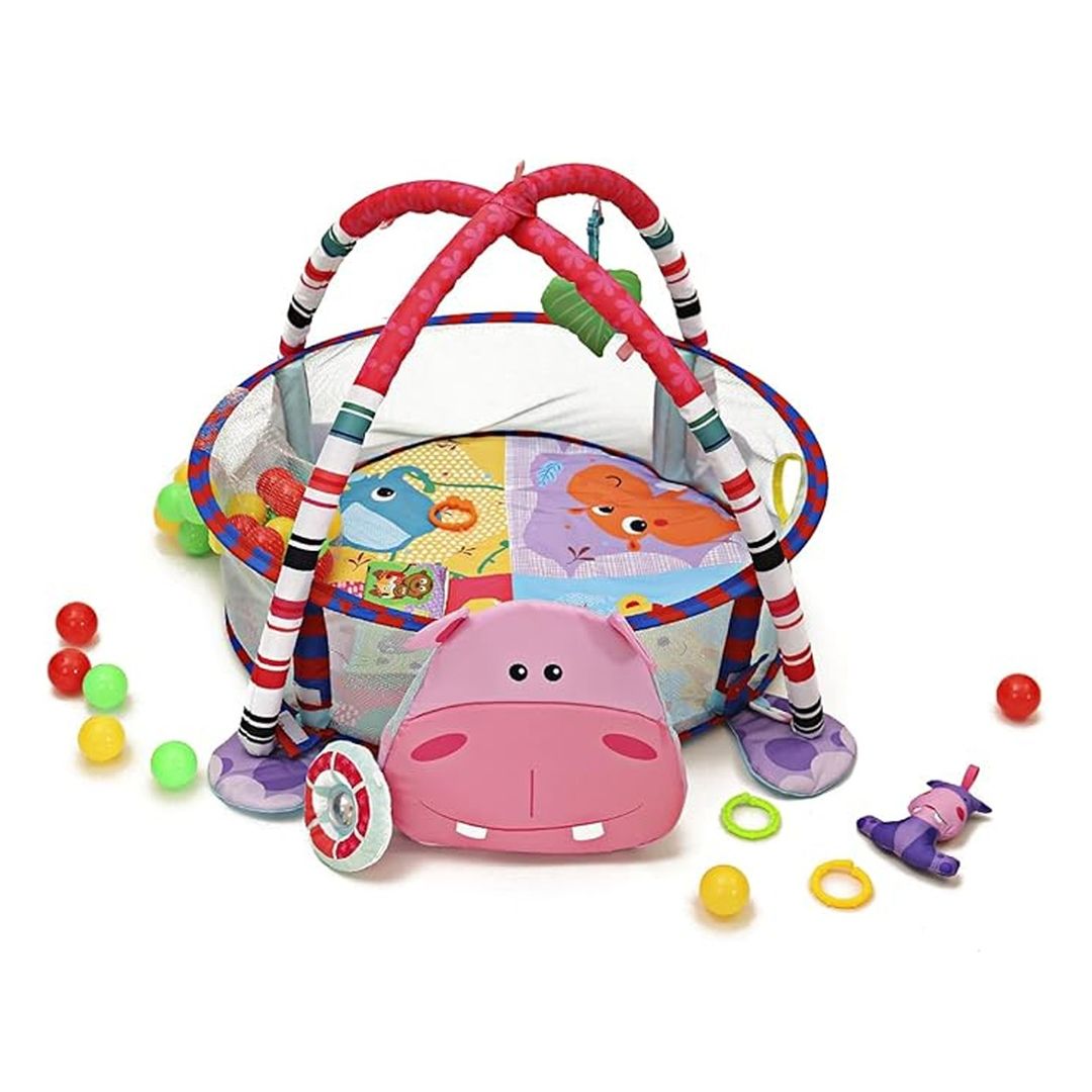 Activity gym and ball pit