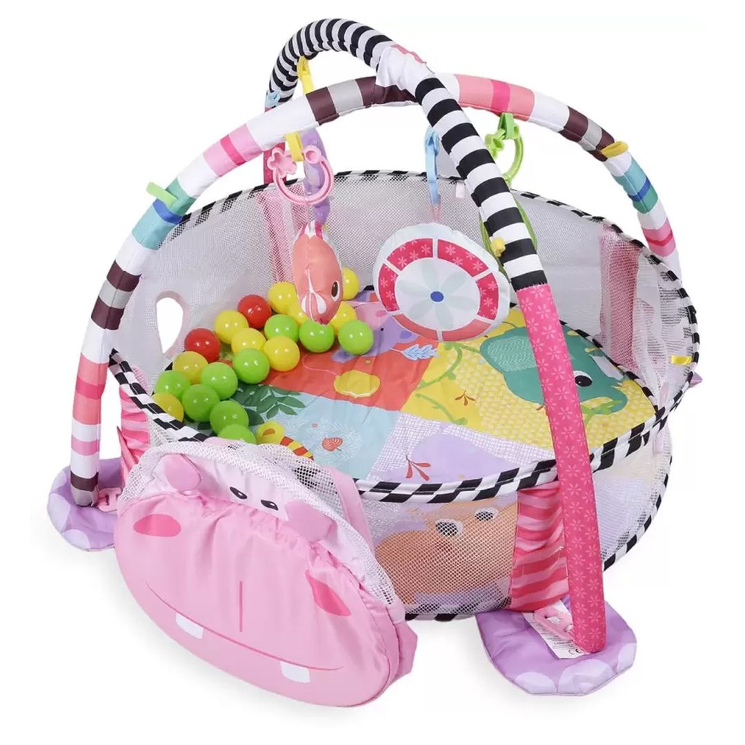 Activity gym and ball pit