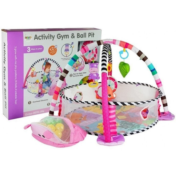 Activity gym and ball pit