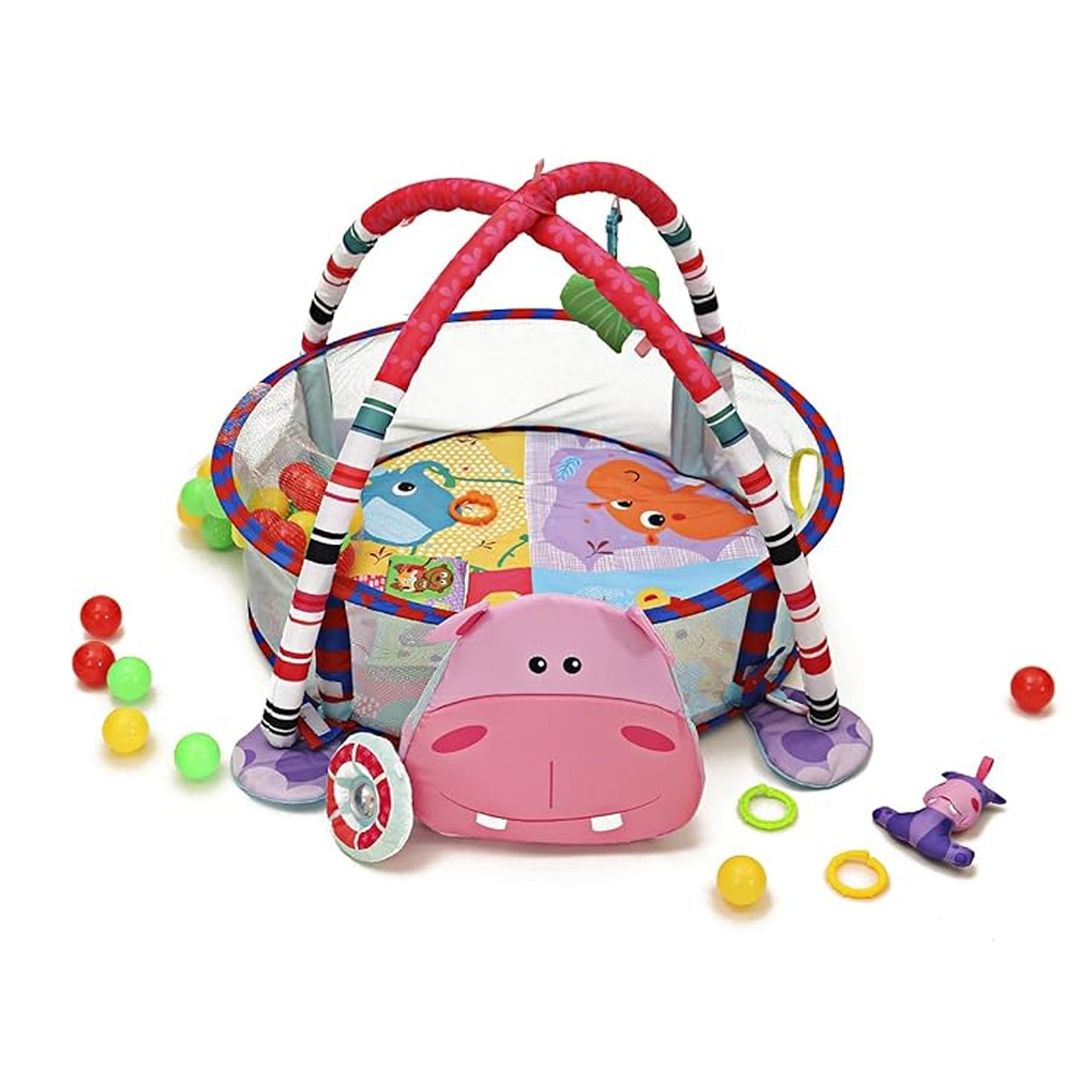 Activity gym and ball pit